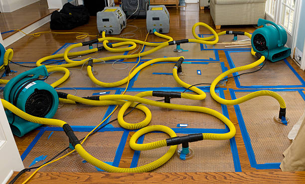 Professional Basement Flood Cleanup technician working in Robesonia, PA